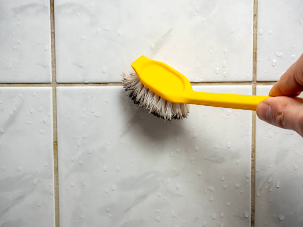 Best Office Mold Removal Services  in Emmitsburg, MD
