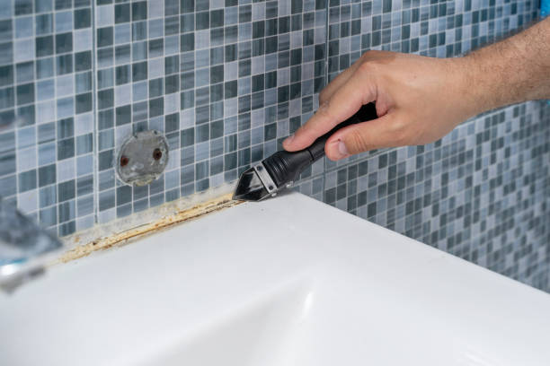 Best Toxic Mold Removal  in Emmitsburg, MD